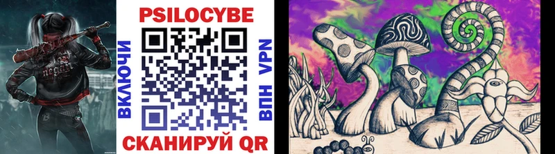 Купить  Мончегорск  Псилоцибиновые грибы Cubensis 