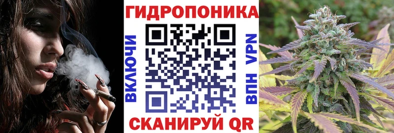 Шишки марихуана план  Купить  Мончегорск 